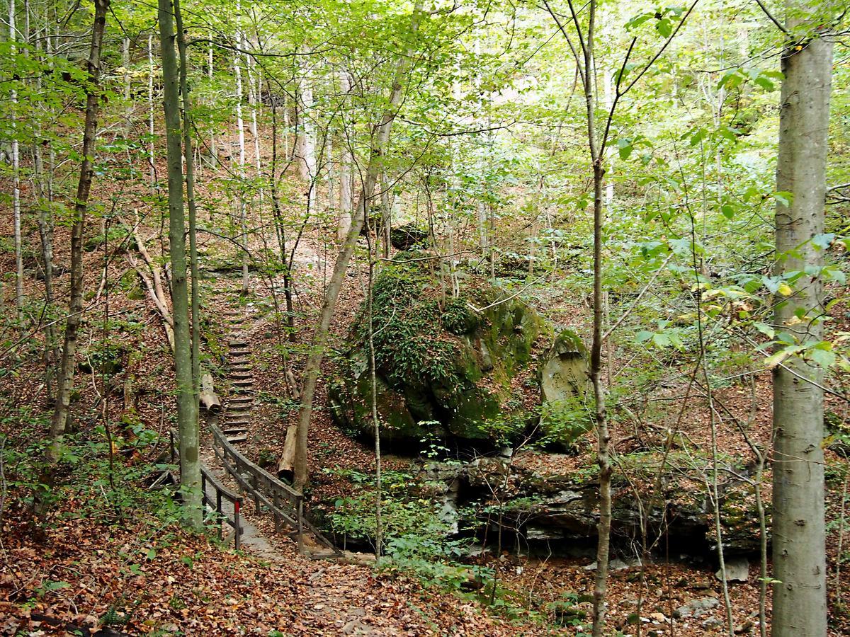 Carter Caves State Resort Park Olive Hill Eksteriør bilde